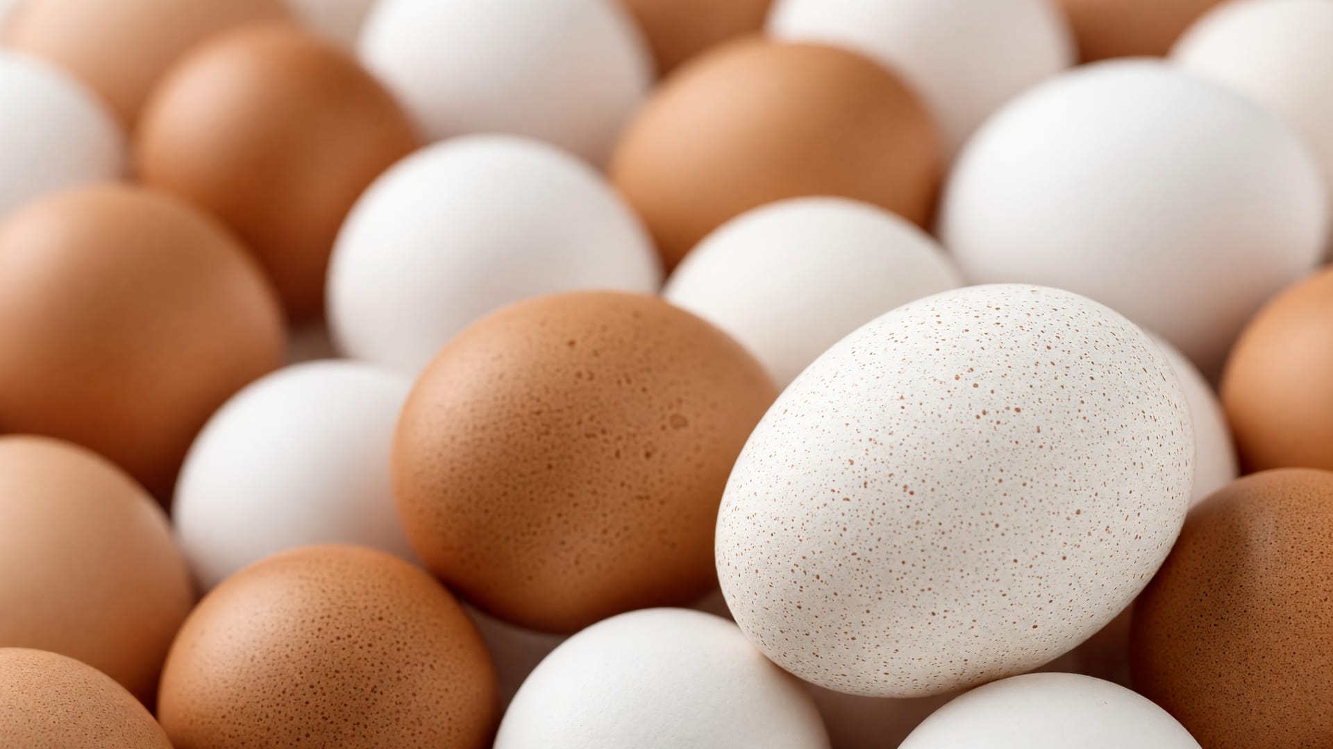 Eggs, a fresh dairy product