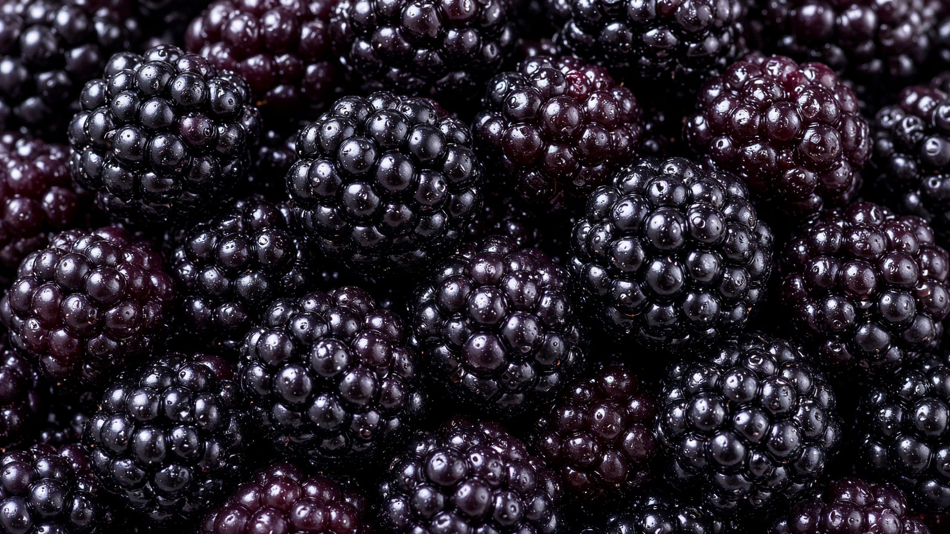 Blackberries, a fresh produce item