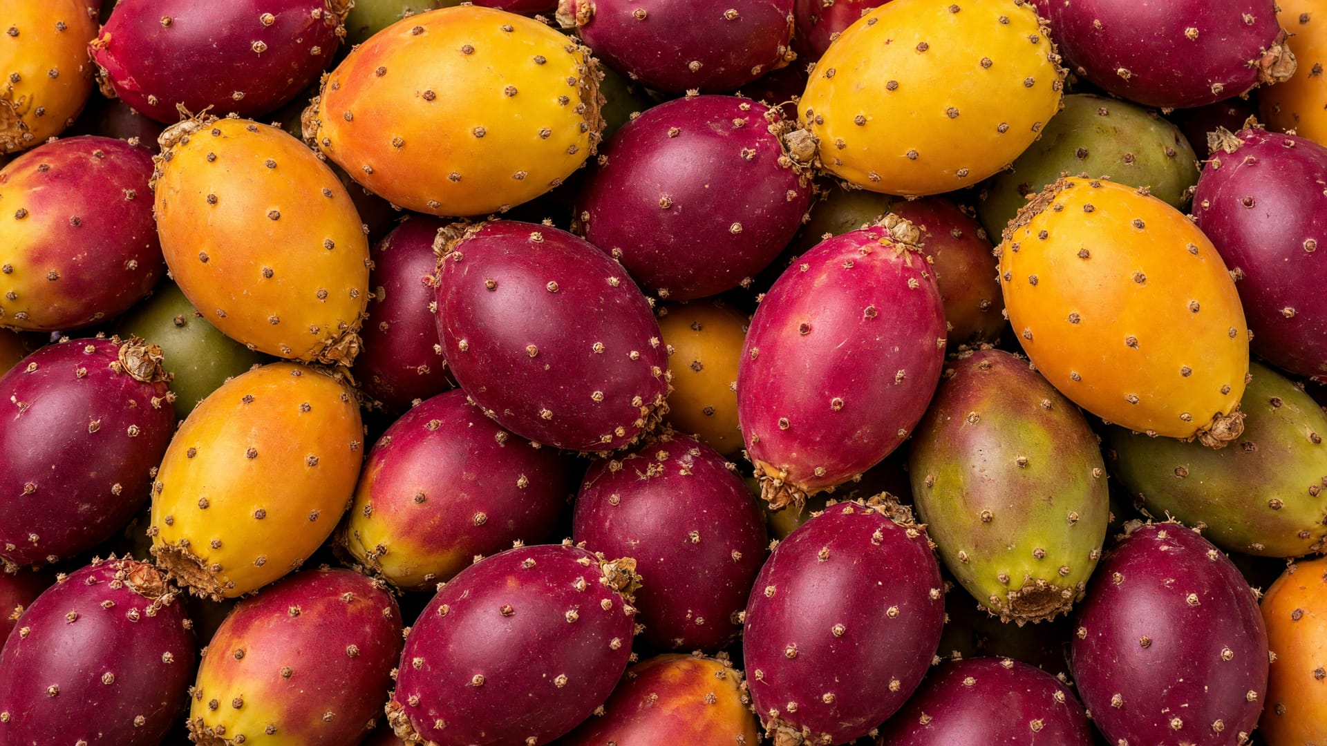 Cactus fruit, a fresh produce item