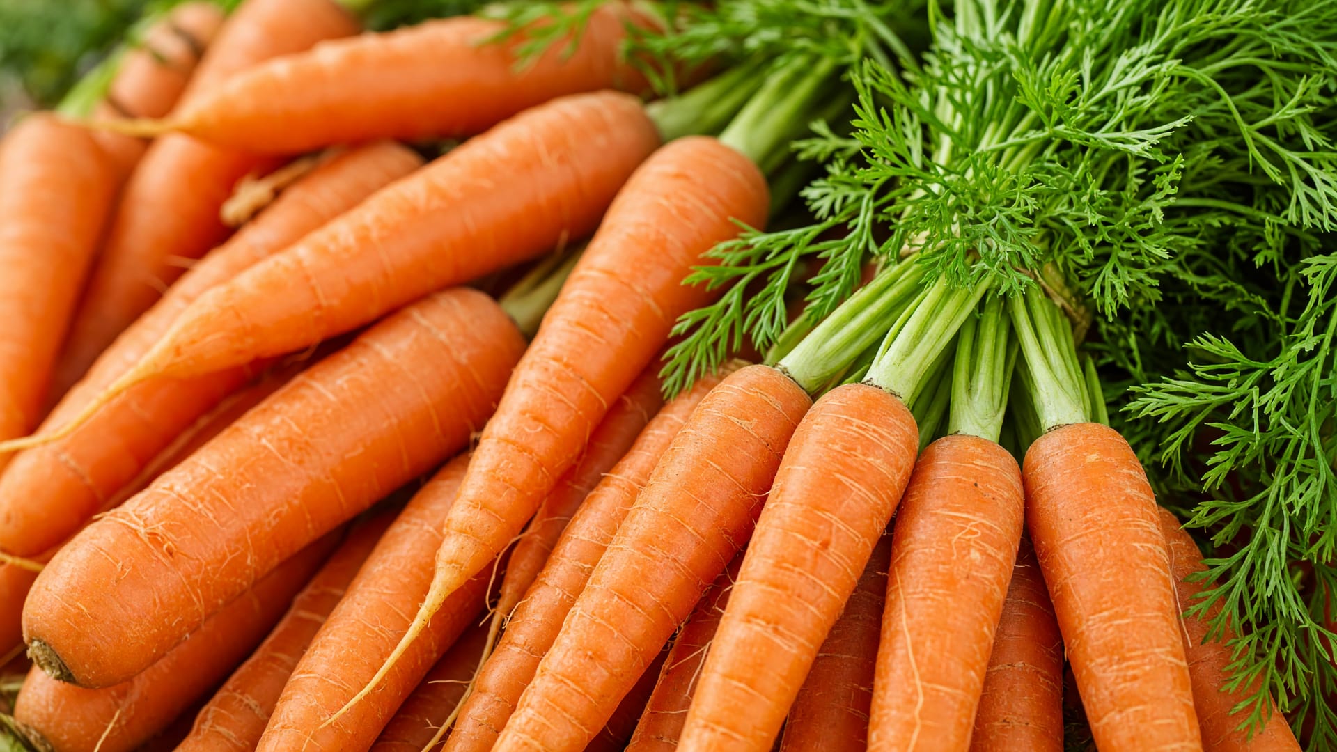 Carrots, a fresh produce item