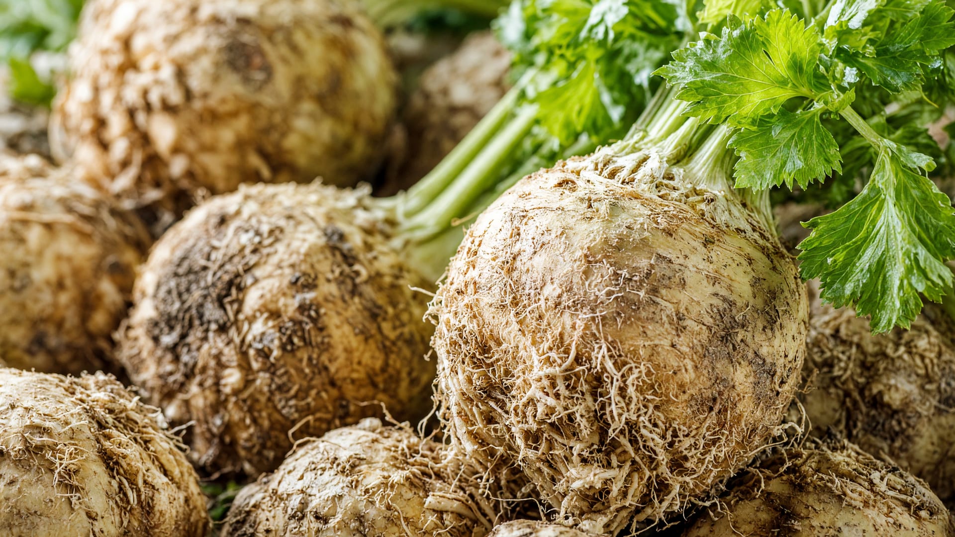 Celeriac, a fresh produce item