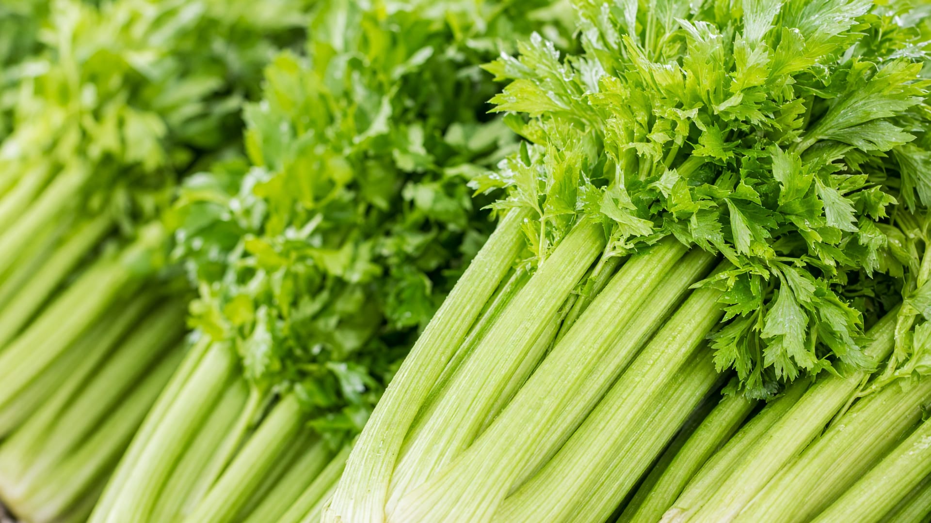 Celery, a fresh produce item