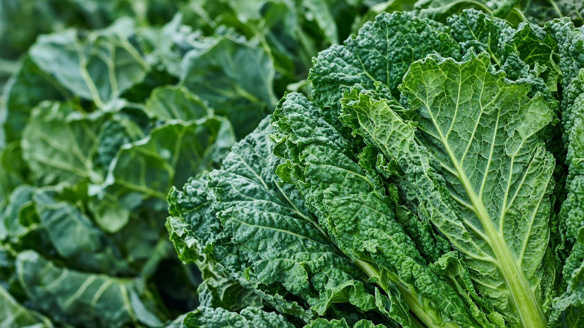 Collard greens, a fresh produce item