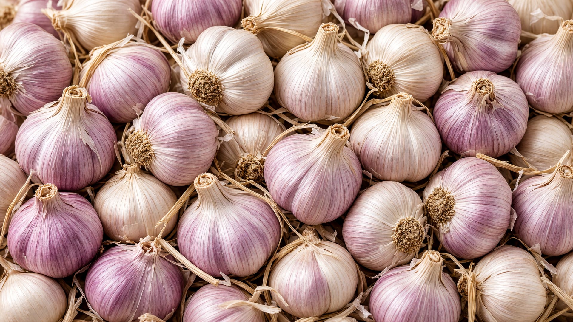 Garlic, a fresh produce item