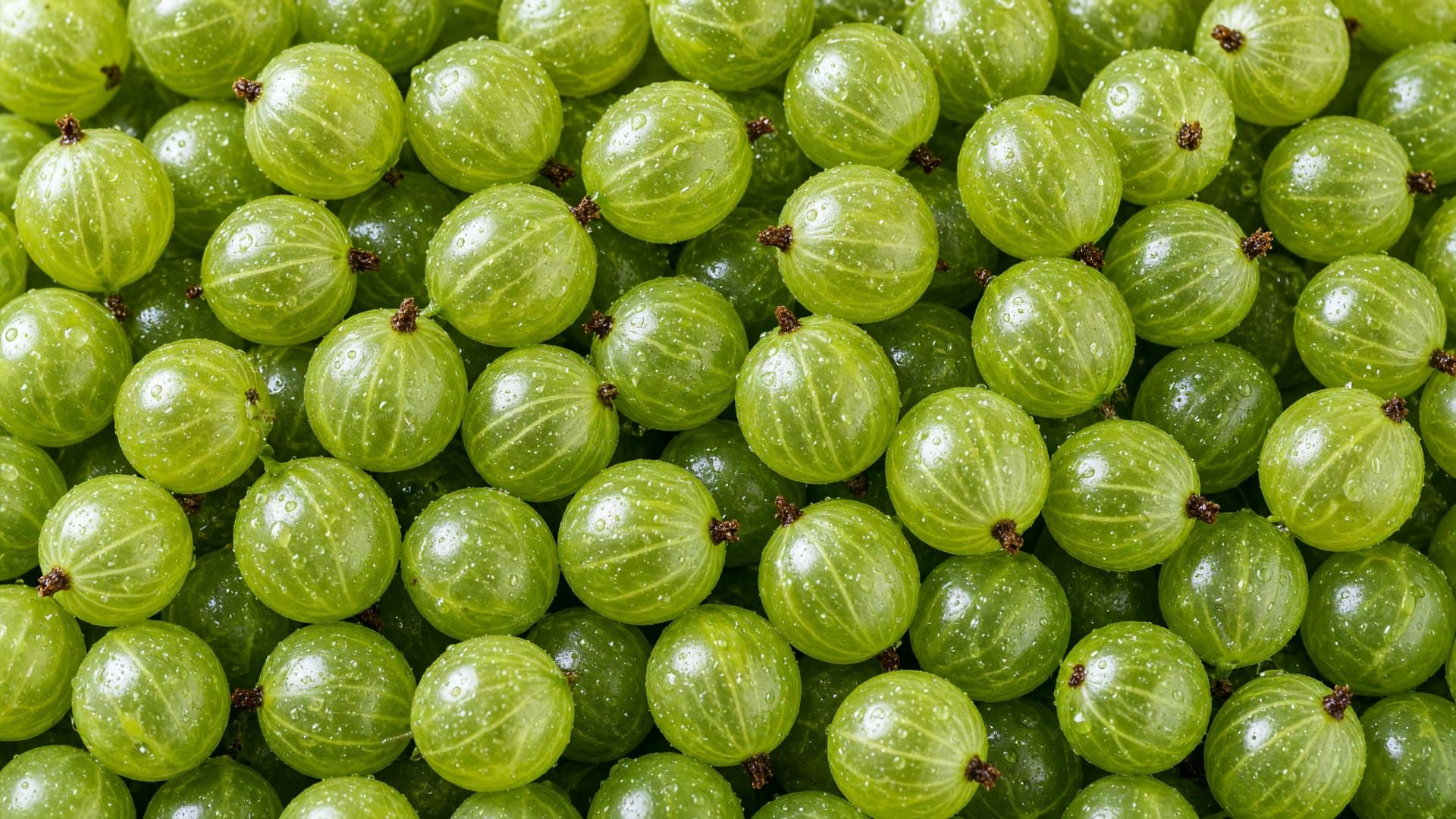 Gooseberries, a fresh produce item