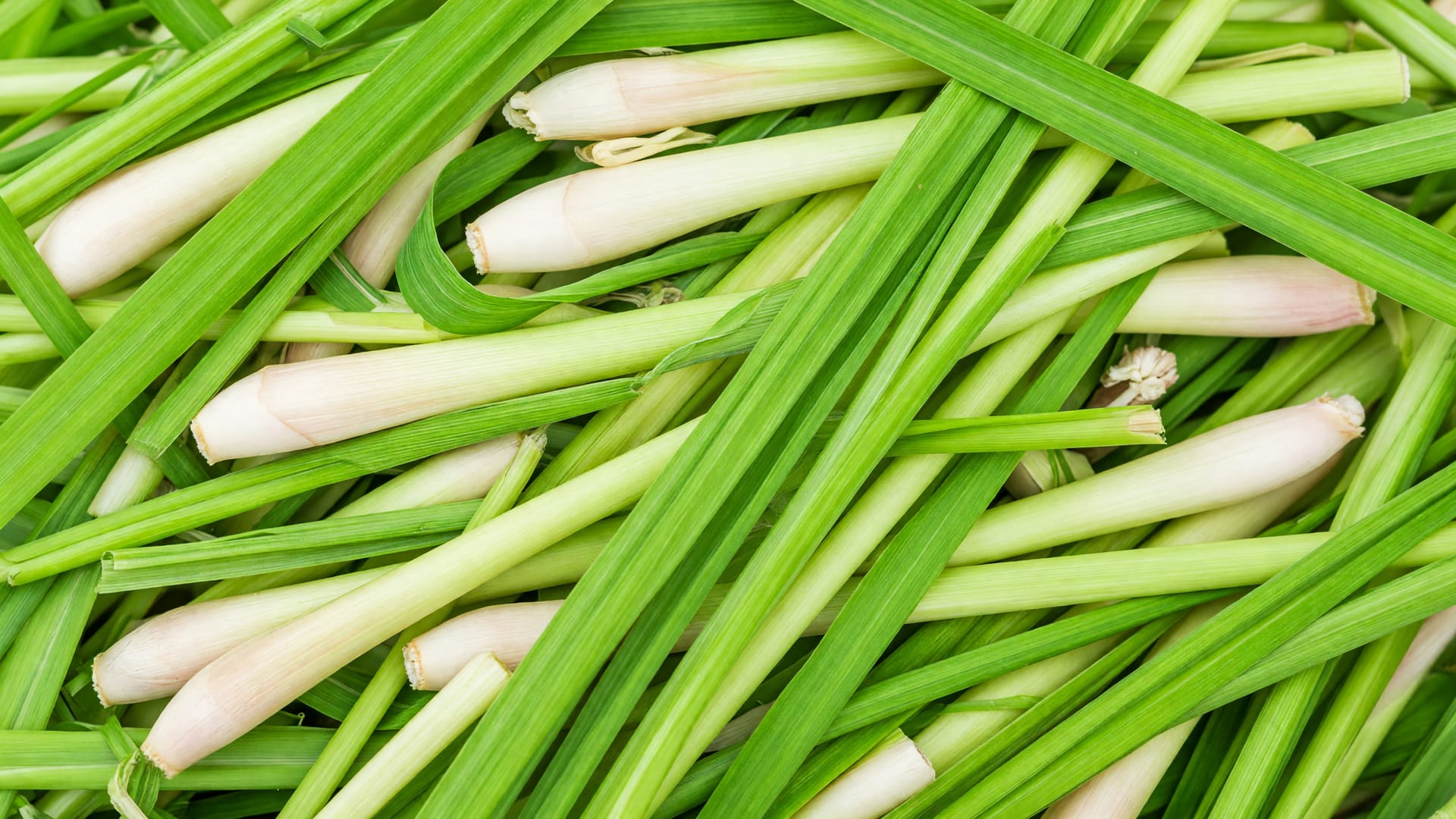 Lemongrass, a fresh produce item