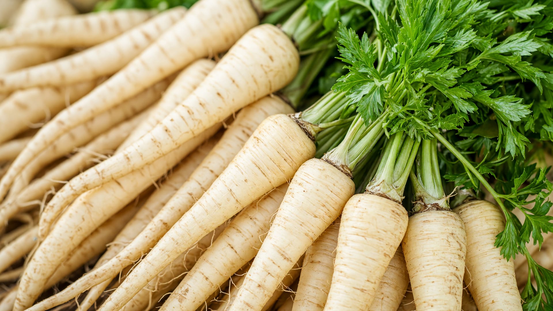 Parsnips, a fresh produce item