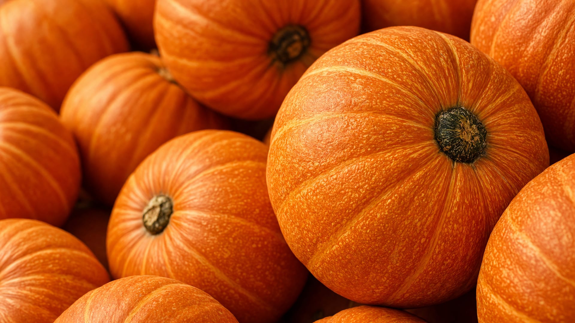 Pumpkin, a fresh produce item