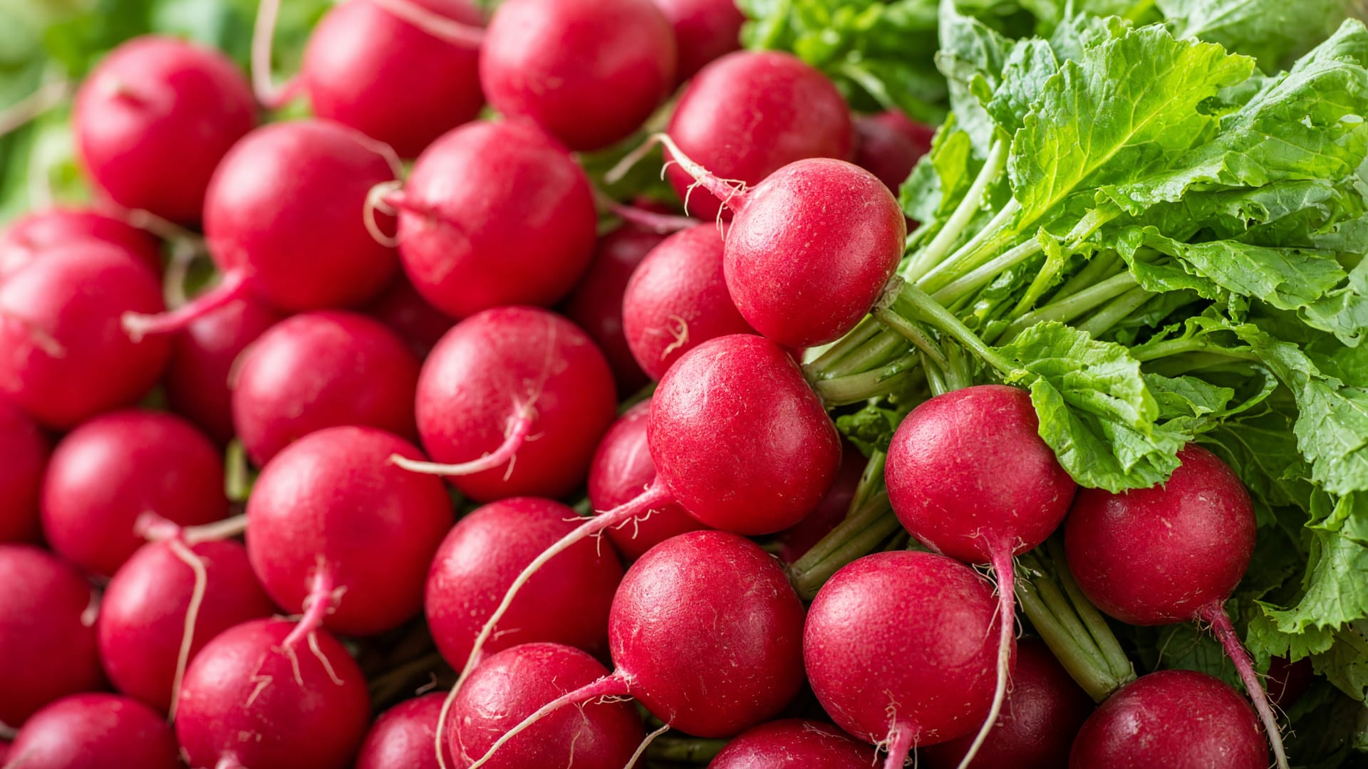 Radishes, a fresh produce item