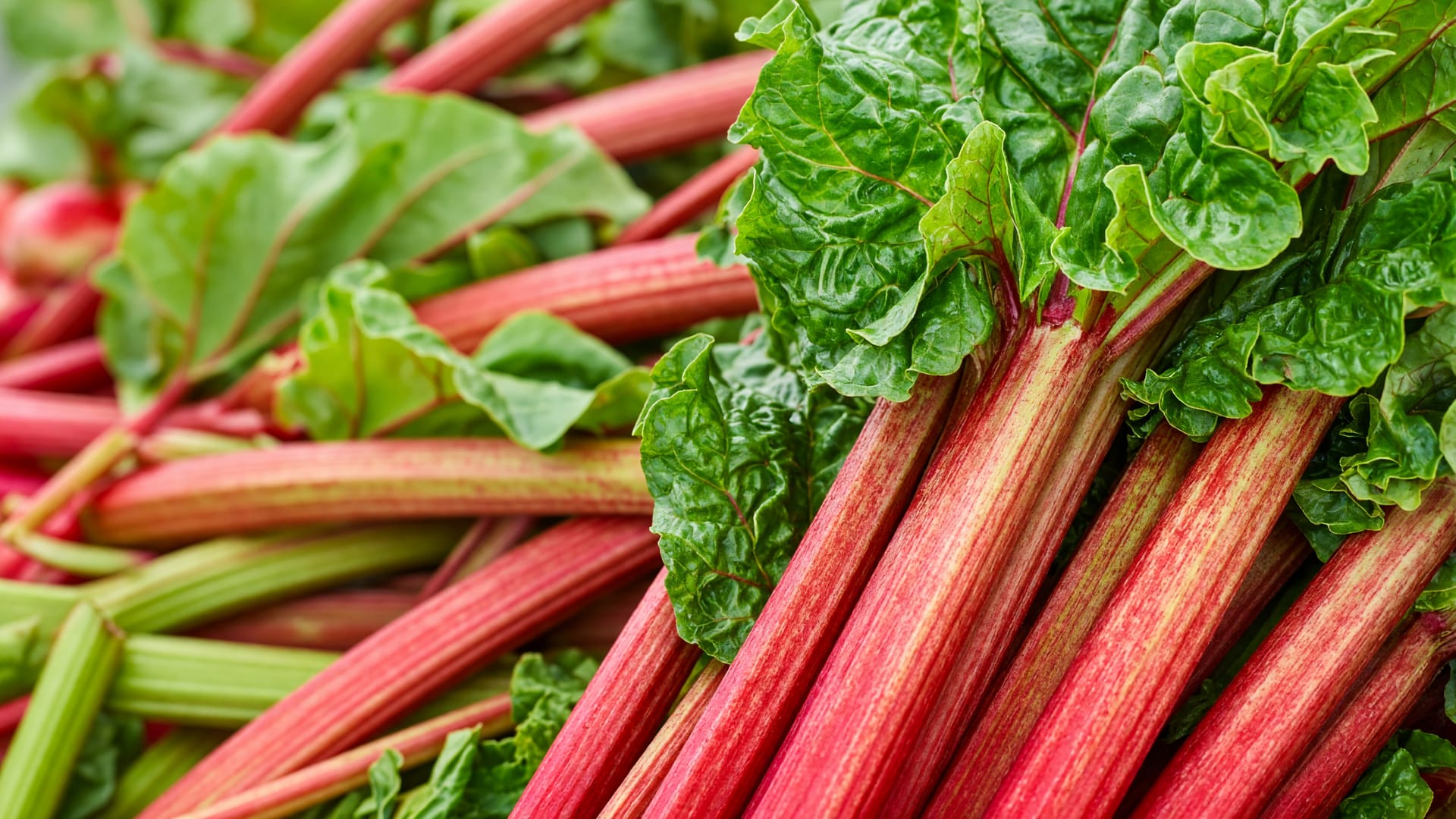 Rhubarb, a fresh produce item