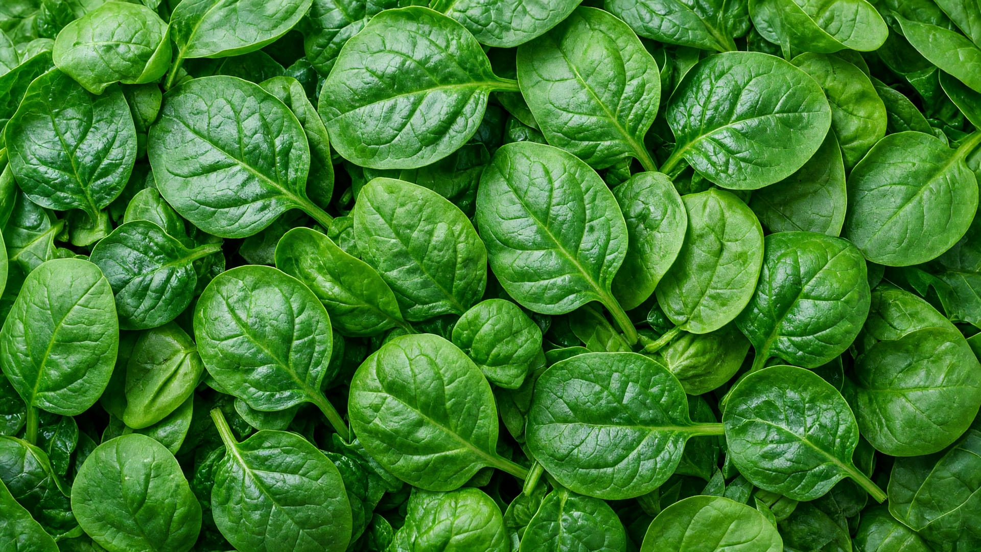 Spinach, a fresh produce item