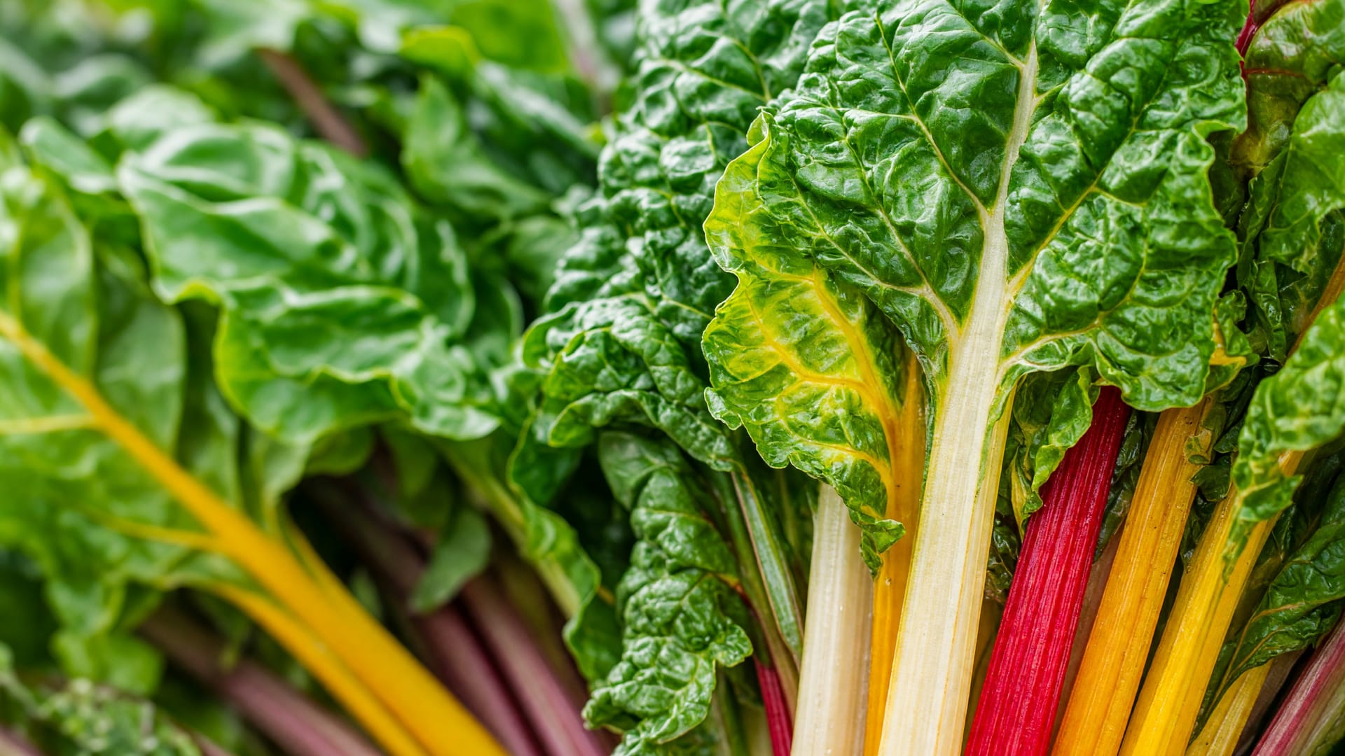 Swiss chard, a fresh produce item