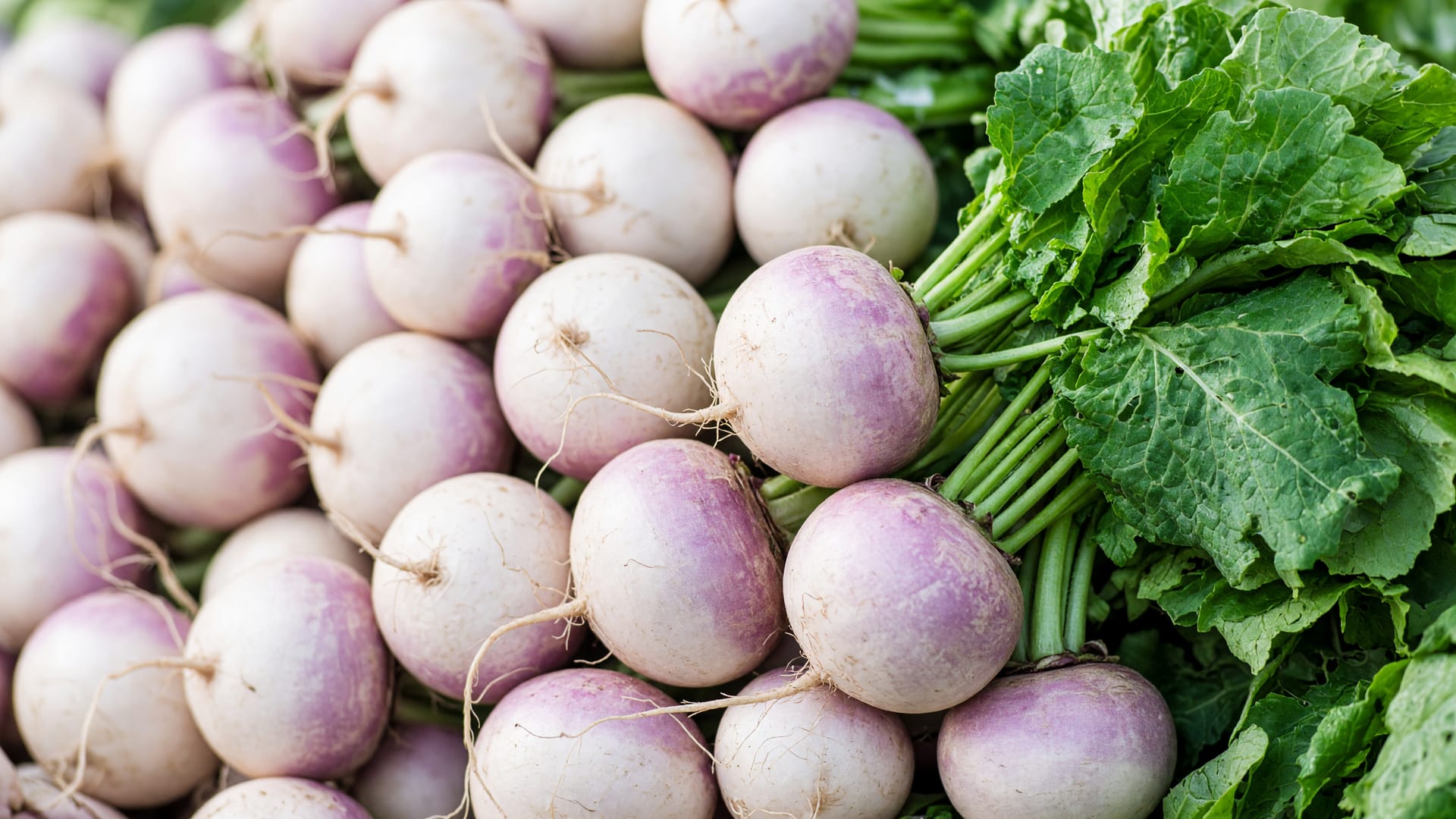 Turnips, a fresh produce item